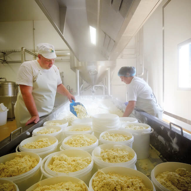 personnel de savoie lactee remplissant de fromage des seaux