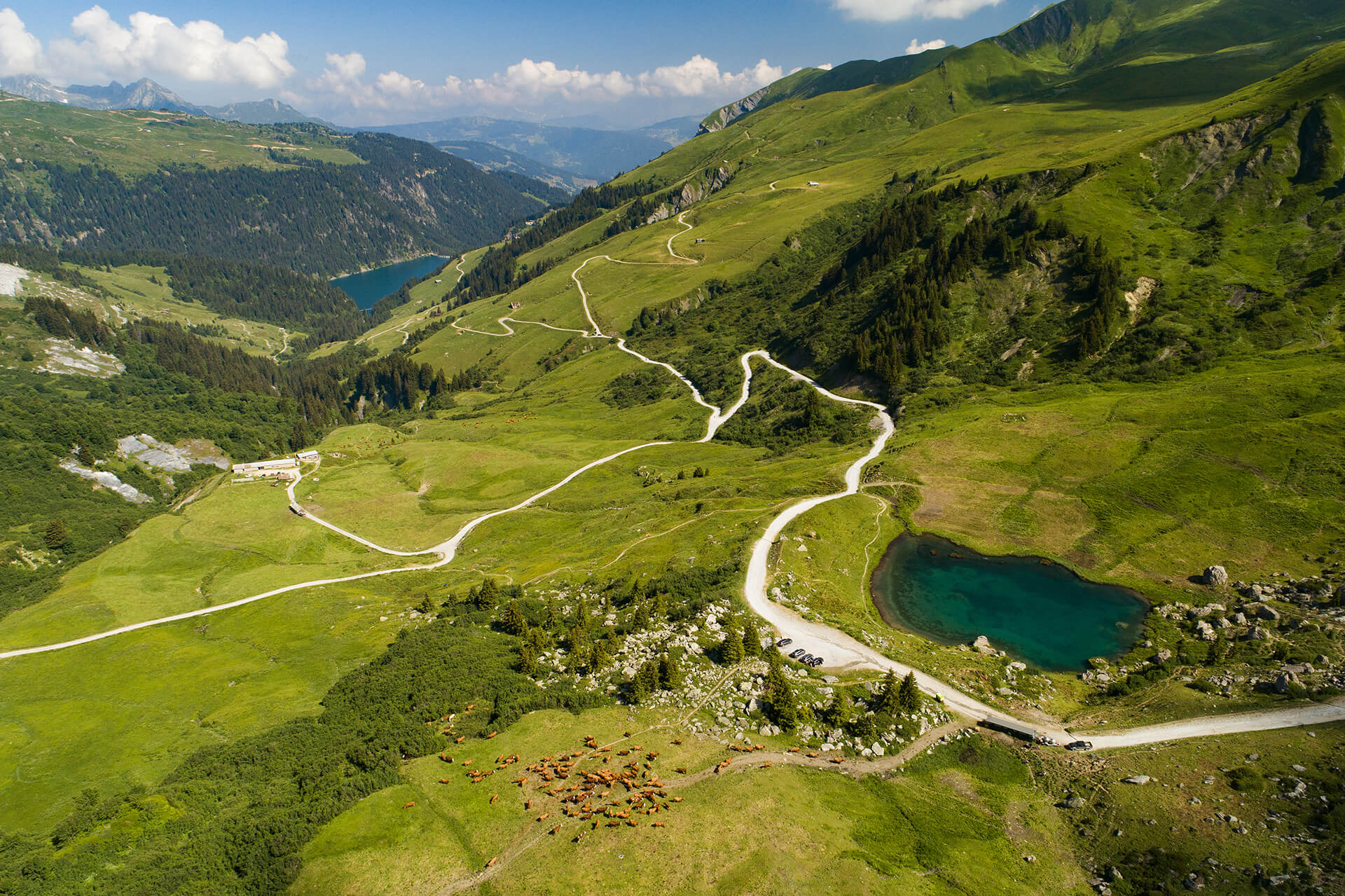 Vallée où les paturages savoie lactee sont