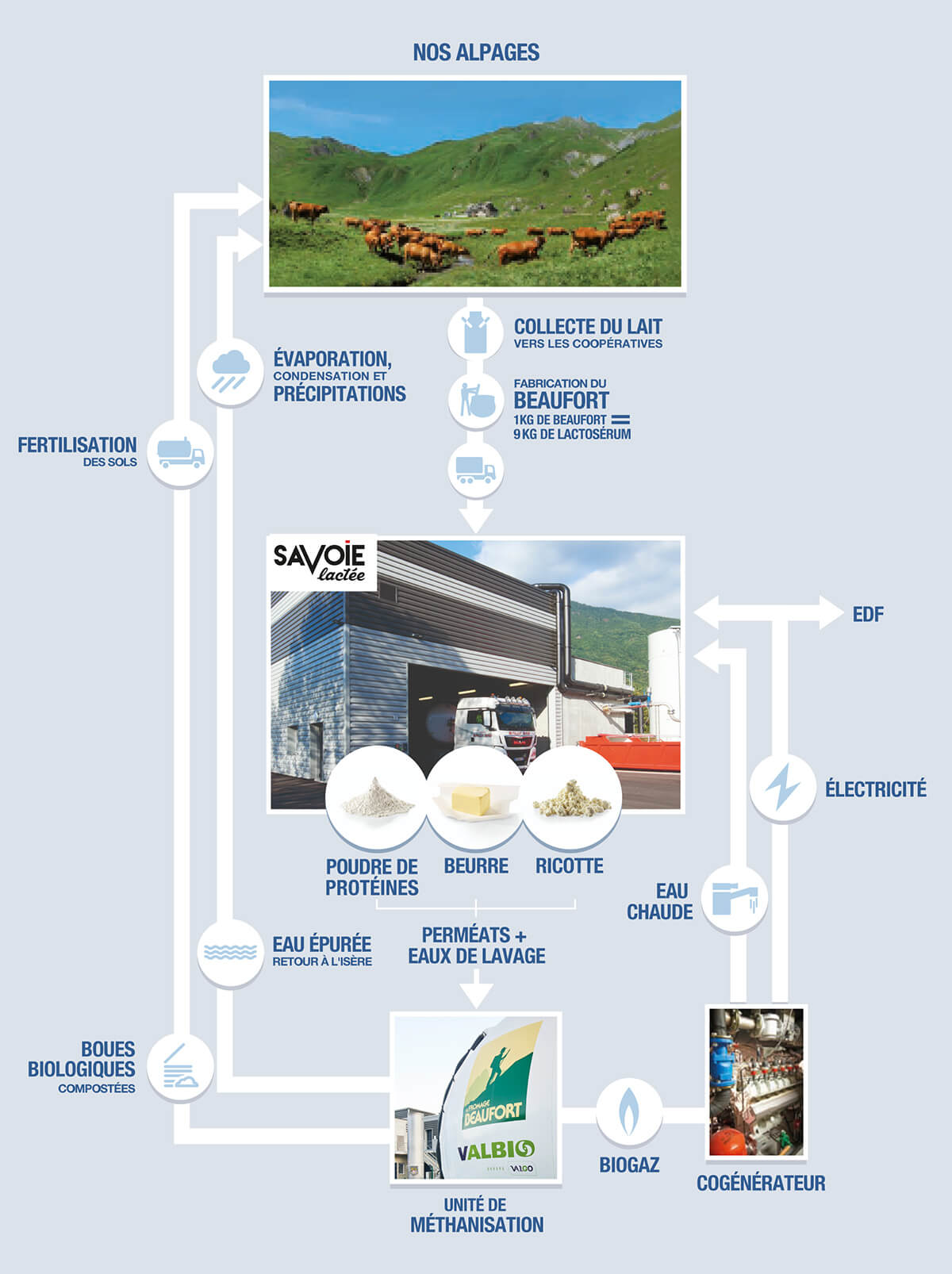Cycle de valorisation du lactosérum